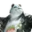 Da Pan