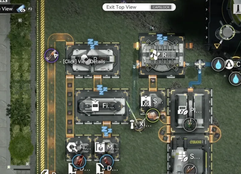 One stack of Yazhen placed in the Extra Meds seed machine