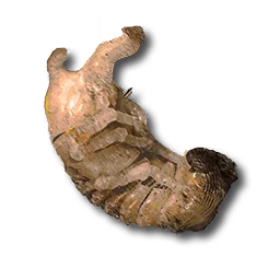 Grovenymph Pupa
