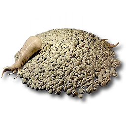 Redjade Ginseng Seed