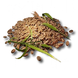 Amber Rice Seed