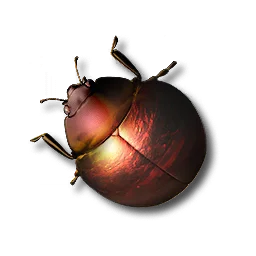 Scorchbug